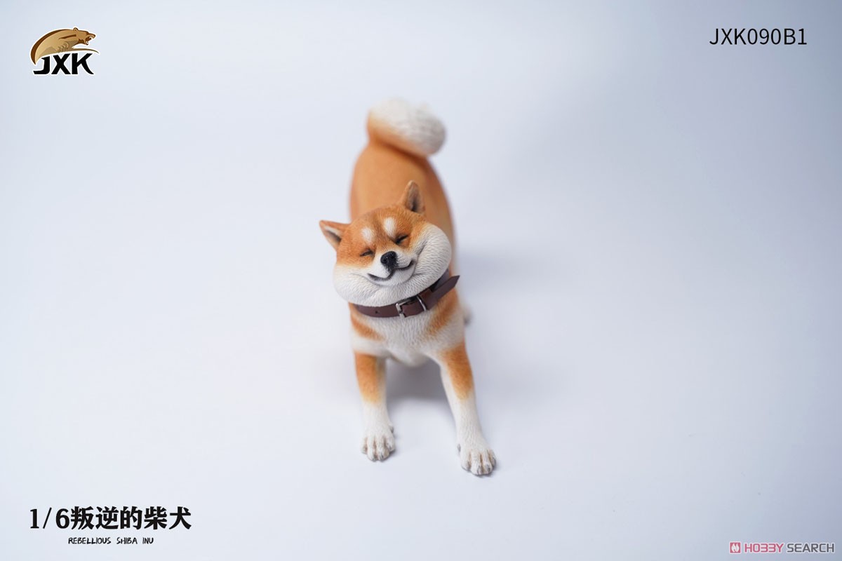 1/6 Rebellious Shiba Inu B1 (Fashion Doll) Item picture1