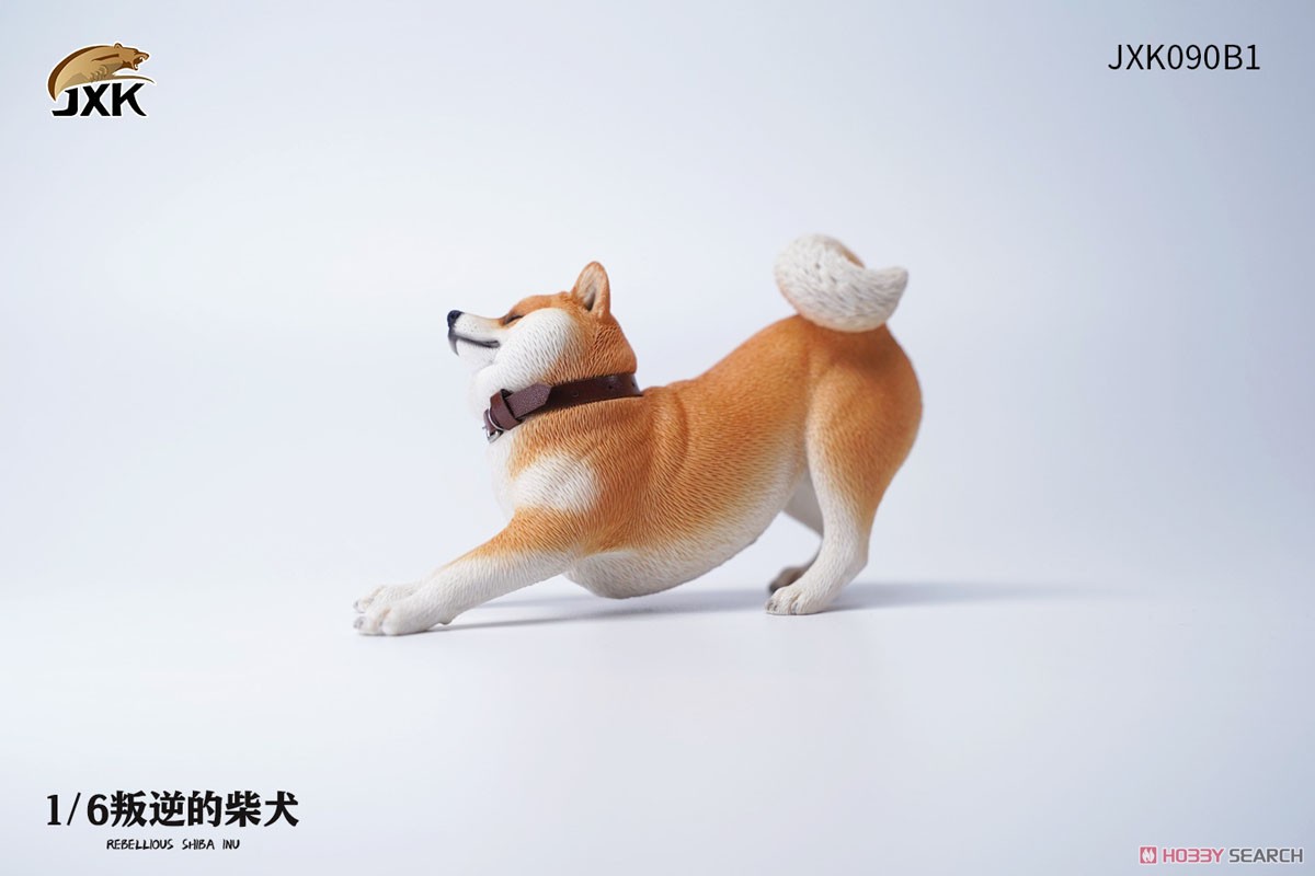 1/6 Rebellious Shiba Inu B1 (Fashion Doll) Item picture2