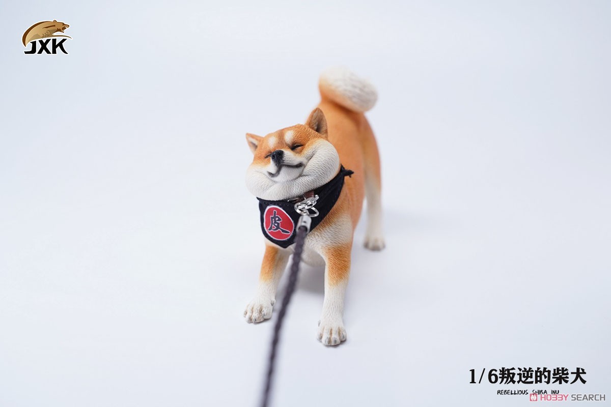 1/6 Rebellious Shiba Inu B1 (Fashion Doll) Item picture3