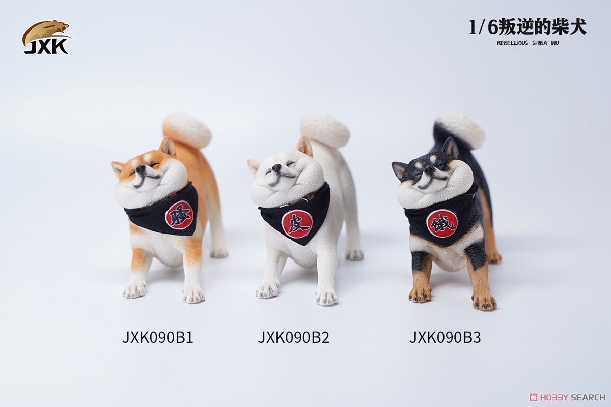 1/6 Rebellious Shiba Inu B1 (Fashion Doll) Other picture1