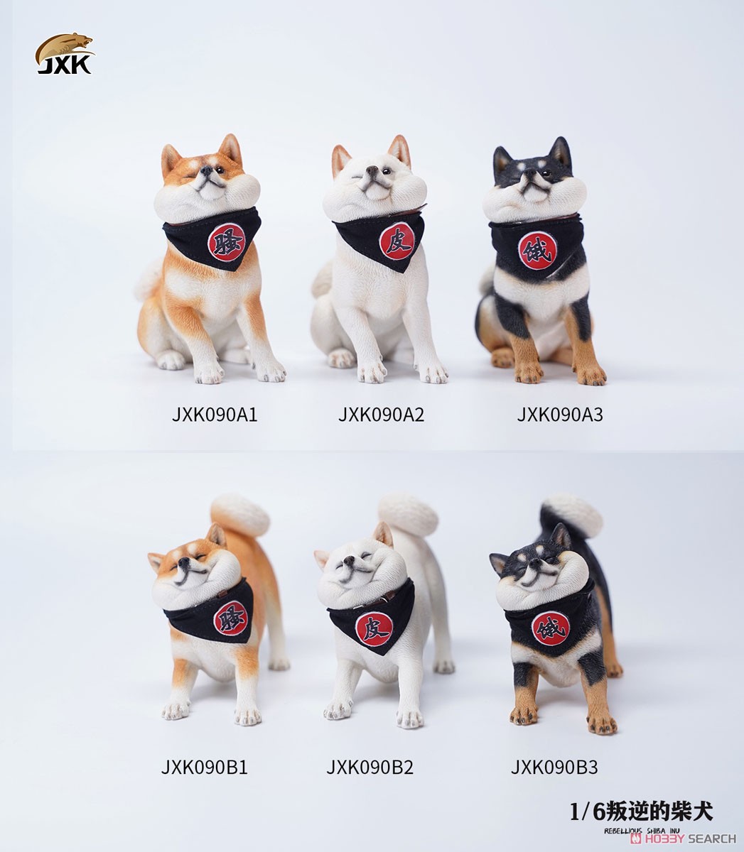 1/6 Rebellious Shiba Inu B1 (Fashion Doll) Other picture2