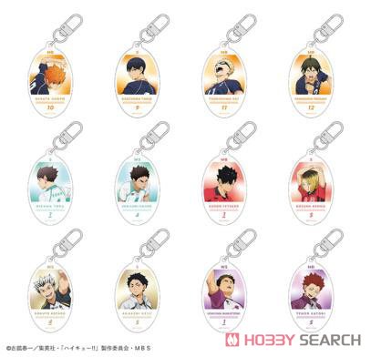 Haikyu!! Trading Round Key Ring (Set of 12) (Anime Toy) Item picture1