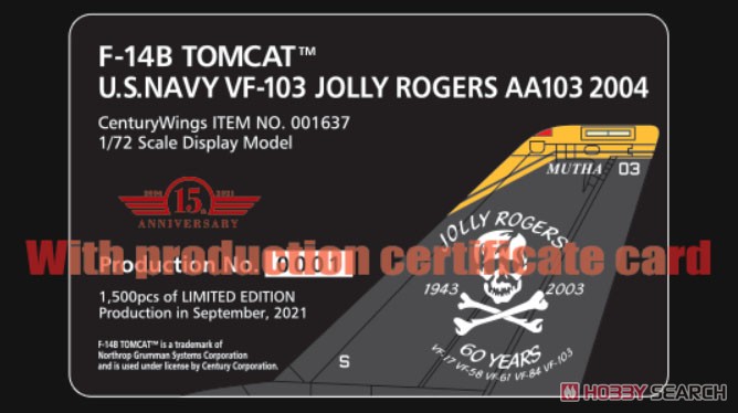 F-14B アメリカ海軍 第103戦闘飛行隊 「ジョリーロジャース」特別塗装「ジョリーロジャース60周年」 2004年 AA103 (完成品飛行機) その他の画像1