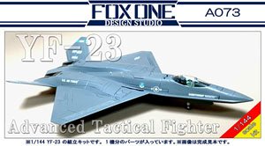 YF-23 Advanced Tatical Fighter (Plastic model)