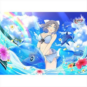 [シノビマスター 閃乱カグラ NEW LINK] B2タペストリー (雪泉/水着) (キャラクターグッズ)