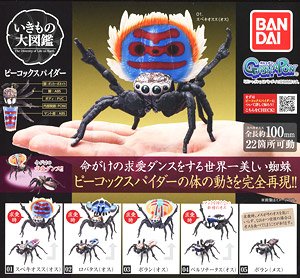 いきもの大図鑑 ピーコックスパイダー (玩具)