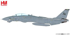 Grumman F-14D Tomcat 212/164394, flown by Lt Cdr Meagan V.Flannigan , VF-213, USS Theodore Roosevelt, Persian Gulf 2006 (Pre-built Aircraft)