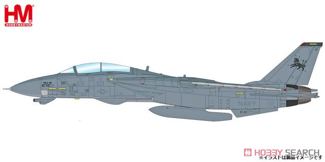 F-14D トムキャット `VF-213 ブラックライオンズ (完成品飛行機) その他の画像1