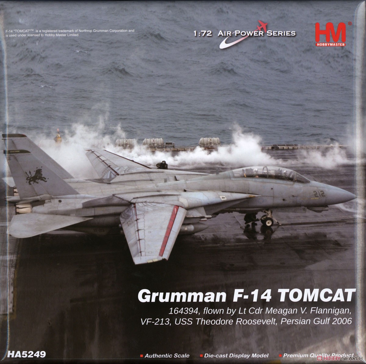 F-14D トムキャット `VF-213 ブラックライオンズ (完成品飛行機) パッケージ1