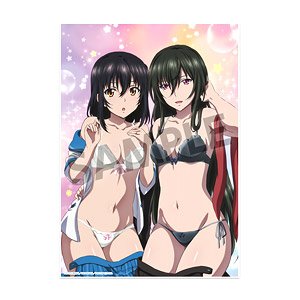 ストライク・ザ・ブラッドFINAL ビジュアルアクリルプレート 姫柊雪菜&妃崎霧葉 (キャラクターグッズ)