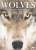 世界のオオカミ写真集 野生のハンターたち (画集・設定資料集) 商品画像1