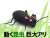 R/C Giant Ants (RC Model) Item picture1