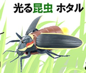 R/C Fire Fly (RC Model)