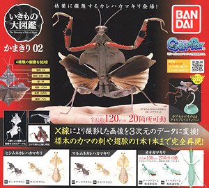 Mantis (Toy)