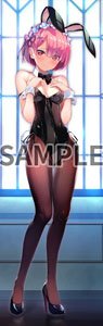 [Re:Zero -Starting Life in Another World-] Big Co-sleeping Double Suede Tapestry Fumio (C99) (Anime Toy)