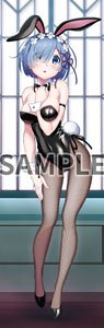 [Re:Zero -Starting Life in Another World-] Big Co-sleeping Double Suede Tapestry Poyoyon Rock (C99) (Anime Toy)