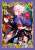 ブロッコリーキャラクタースリーブ プラチナグレード Fate/Grand Order 「グランド・ニューイヤー」 (カードスリーブ) 商品画像1