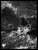 マジック：ザ・ギャザリング プレイヤーズカードスリーブ MTGS-186 『イニストラード：真夜中の狩り』 「永遠の夜」版 《島》 (A) (カードスリーブ) 商品画像1
