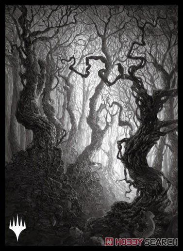 マジック：ザ・ギャザリング プレイヤーズカードスリーブ MTGS-192 『イニストラード：真夜中の狩り』 「永遠の夜」版 《森》 (A) (カードスリーブ) 商品画像1