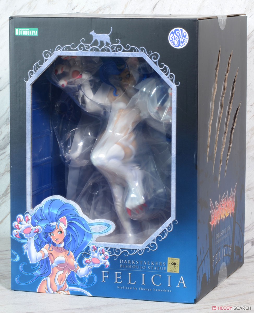 Darkstalkers Bishoujo Felicia (PVC Figure) Package1