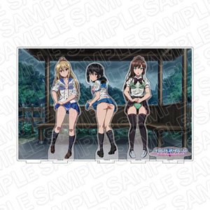 Strike the Blood Final Acrylic Diorama Rain Shelter Ver. (Anime Toy)