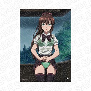 AmiAmi [Character & Hobby Shop]  Strike the Blood Final Sayaka