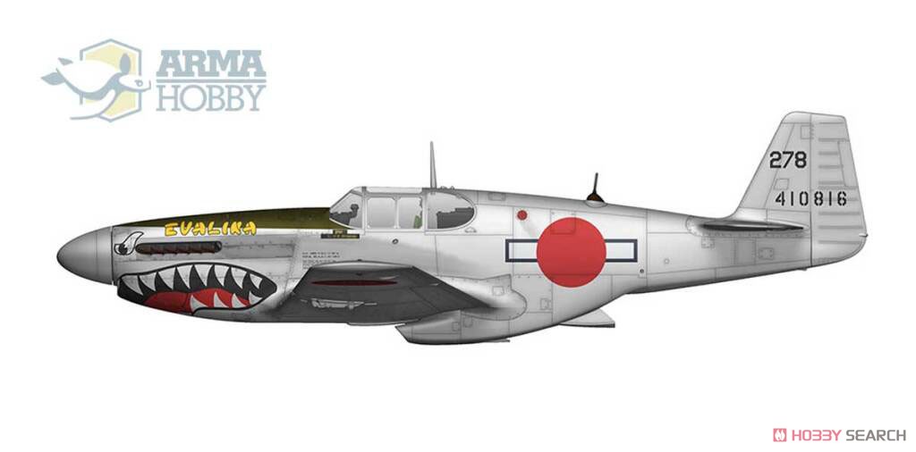 P-51B/C マスタング 「エキスパートセット」 (プラモデル) 塗装4