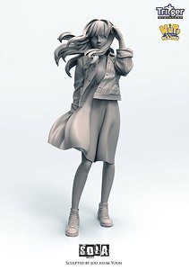 120mm 北風にあおられるソラ (プラモデル)