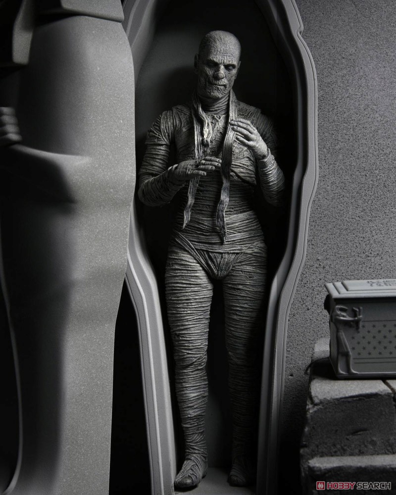 Universal Monster/ The Mummy: Imhotep 7inch Action Figure Black & White Ver (Completed) Other picture1
