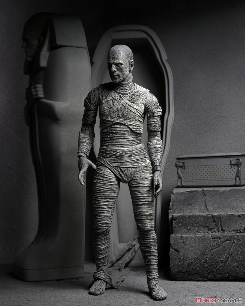 Universal Monster/ The Mummy: Imhotep 7inch Action Figure Black & White Ver (Completed) Other picture2