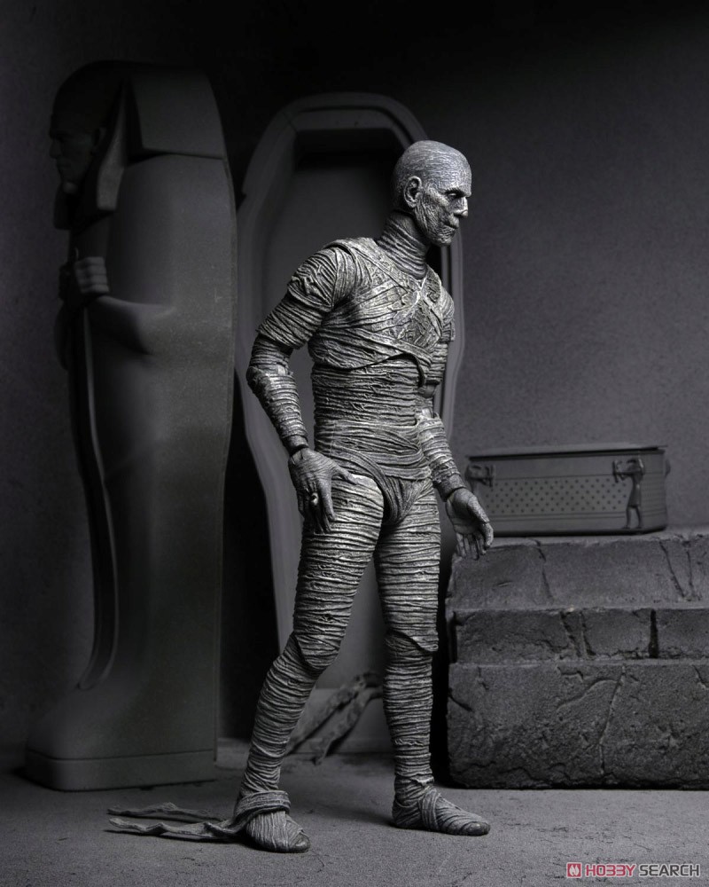 Universal Monster/ The Mummy: Imhotep 7inch Action Figure Black & White Ver (Completed) Other picture3