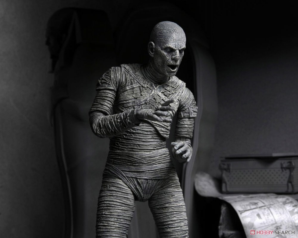 Universal Monster/ The Mummy: Imhotep 7inch Action Figure Black & White Ver (Completed) Other picture5