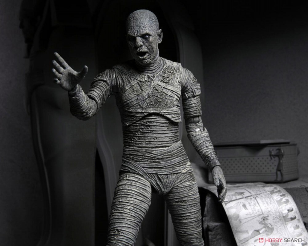 Universal Monster/ The Mummy: Imhotep 7inch Action Figure Black & White Ver (Completed) Other picture6