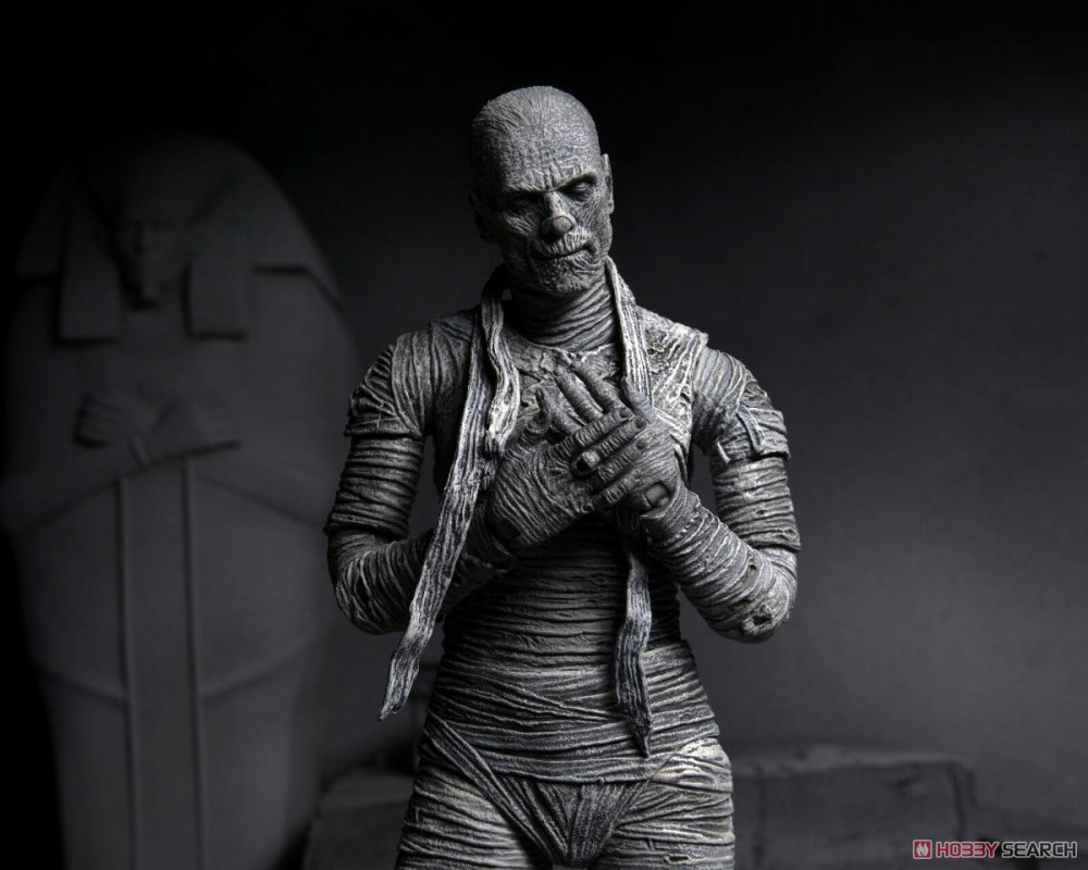Universal Monster/ The Mummy: Imhotep 7inch Action Figure Black & White Ver (Completed) Other picture7