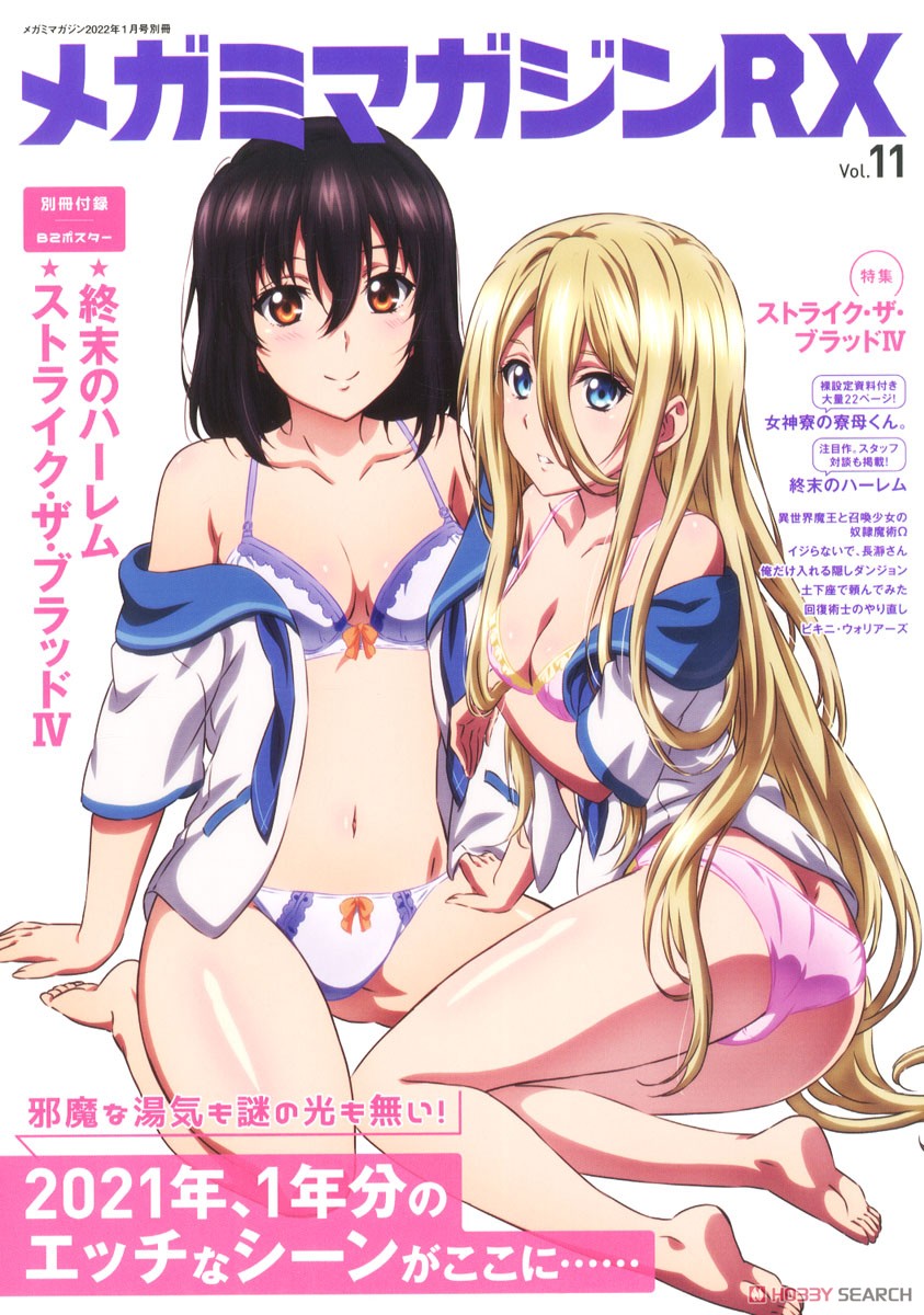 Megami Magazine(メガミマガジン) RX Vol.11 ※付録付 (雑誌) 商品画像1