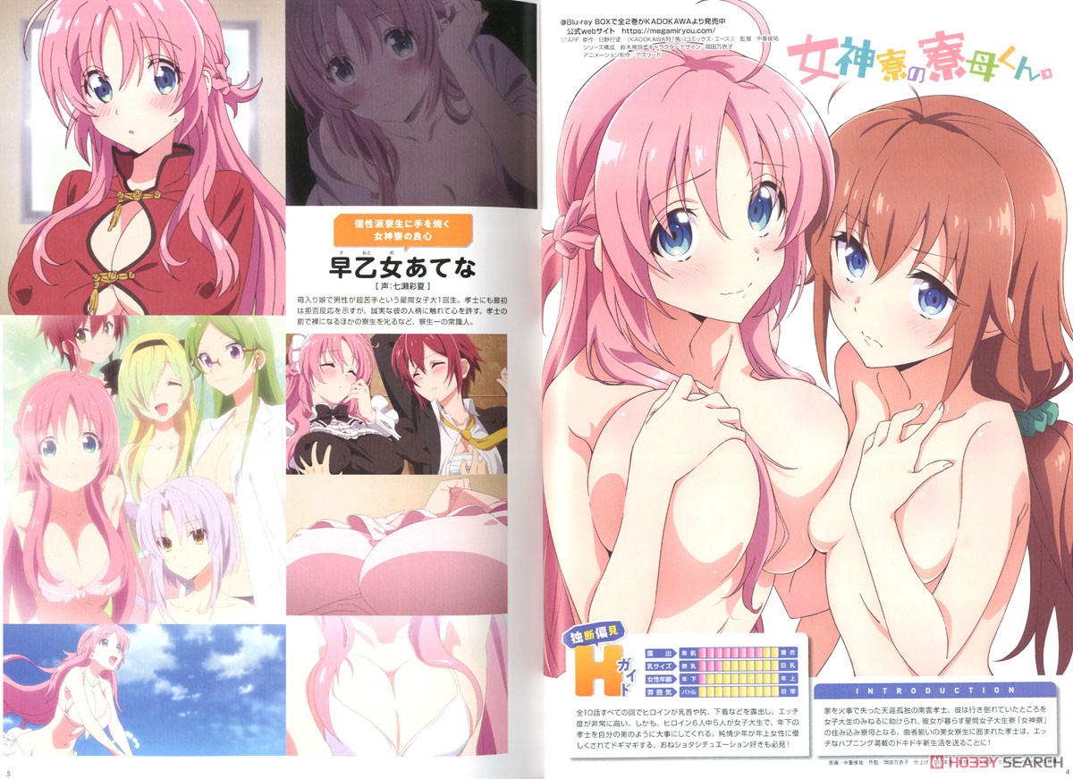 Megami Magazine(メガミマガジン) RX Vol.11 ※付録付 (雑誌) 商品画像2