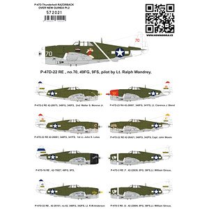 P-47D レザーバック ニューギニア上空 パート2 (w/国籍マーク & データステンシルデカール) (デカール)