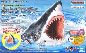 エクスプローリングラボネイチャー ホホジロザメ (プラモデル)