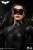 【銀行振込前入金】 DC Series Life Size Bust `The Dark Knight Rises` Selina Kyle (完成品) その他の画像2