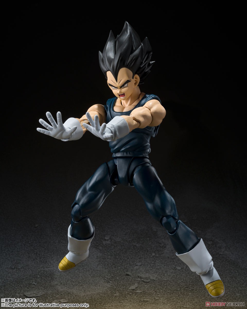 S.H.Figuarts Vegeta Super Hero (Completed) Item picture4