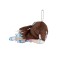Love Live! Nijigasaki High School School Idol Club Sprawled Plush ` Shizuku Osaka - Love U My Friends ` (S) (Anime Toy) 商品画像3 Thumbnail