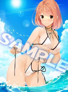 『虜ノ姉妹』 水着コレクション 塔夜水咲 B2タペストリー (キャラクターグッズ)