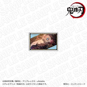 TV Animation Demon Slayer: Kimetsu no Yaiba: Mugen Train Plate Badge Inosuke Hashibira (Anime Toy)