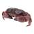 Crab 02 (Toy) Item picture4