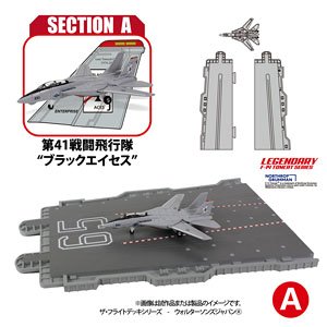 セクション【A】第41戦闘飛行隊`ブラックエイセス` (完成品飛行機)