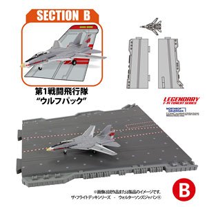 Section (B) VF-1 Wolfpack (Pre-built Aircraft)