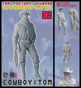 Cowboy Tom (Plastic model)