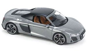 Audi 2021 R8 Gray Open (Diecast Car)