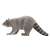 My Little Zoo Raccoon (Animal Figure) Item picture1