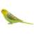My Little Zoo Budgerigar (Green) (Animal Figure) Item picture1